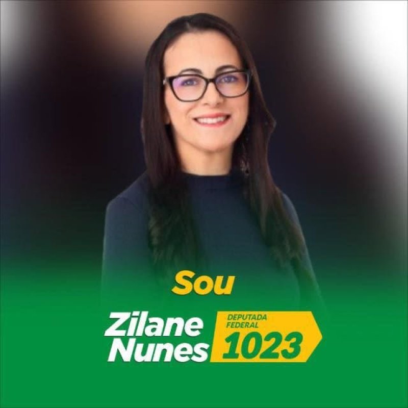 Zilane Nunes - Deputada Federal